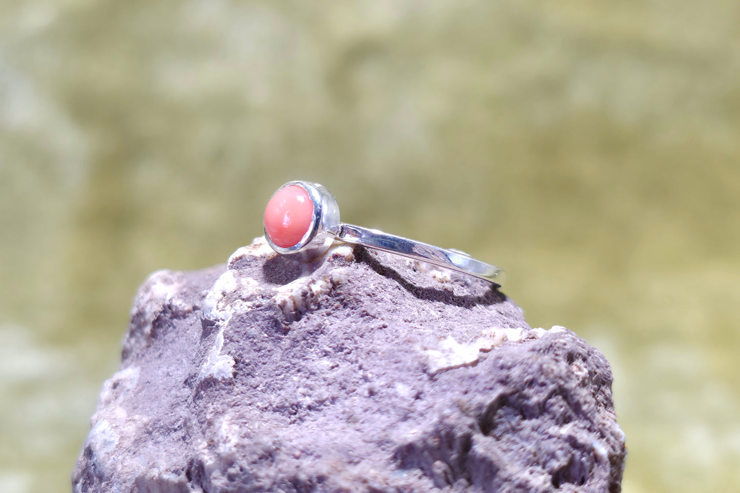 Coral Stacker