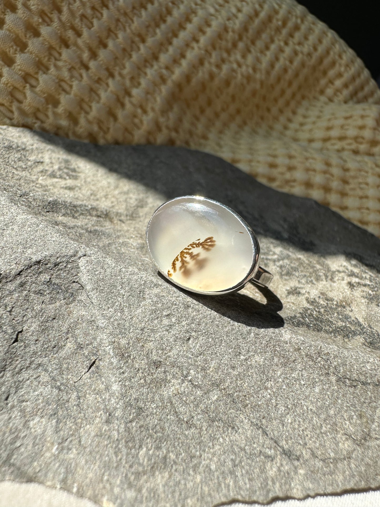 Dendritic Burst Ring