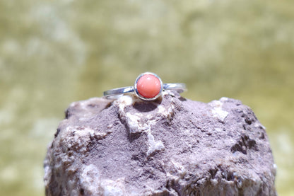 Coral Stacker