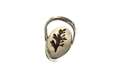 Bloody Basin Ring